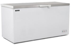 Blizzard CF650SS Chest Freezer With Stainless Steel Lid